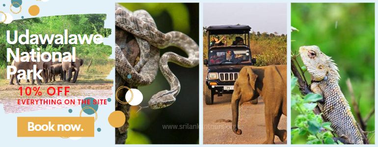 Udawalawe safari srilanka